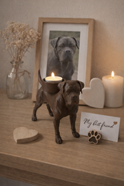 Waxinelichthouder Cane Corso als herdenkingsdecoratie met led waxinelichtje op een sfeervol herinneringsplekje.